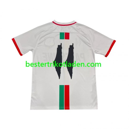Fußballtrikot Club Deportivo Palestino Center Stripre Auswärts Trikot Away 2024-2025 Kurzarm für Herren