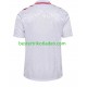 Fußballtrikot Dänemark Auswärts Trikot Away Euro 2024 Kurzarm für Herren