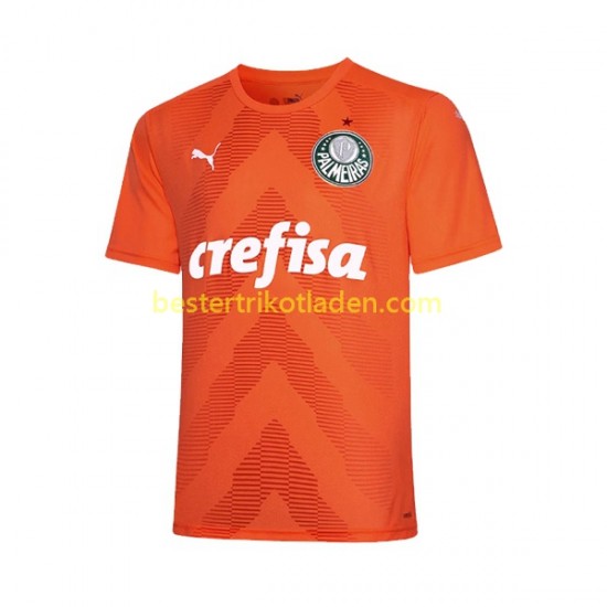 Fußballtrikot Palmeiras Torwart Ausweich Trikot 3rd 2022-2023 Kurzarm für Herren