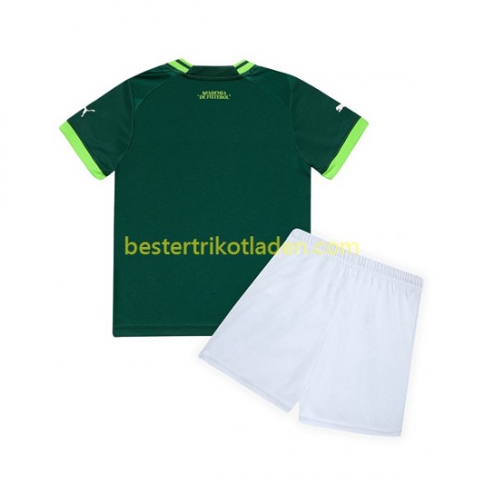 Fußballtrikot Palmeiras Heim Trikot Home 2023-2024 Kurzarm für Kinder