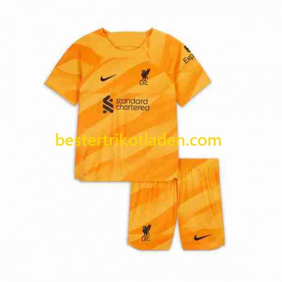 Fußballtrikot Liverpool Torwart Ausweich Trikot 3rd 2023-2024 Kurzarm für Kinder