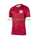 Fußballtrikot Polen Auswärts Trikot Away 2026 2027 Kurzarm für Herren