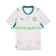 Fußballtrikot Senegal Heim Trikot Home 2026 2027 Kurzarm für Herren