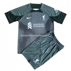Fußballtrikot Liverpool Auswärts Trikot Away 2022-2023 für Kinder