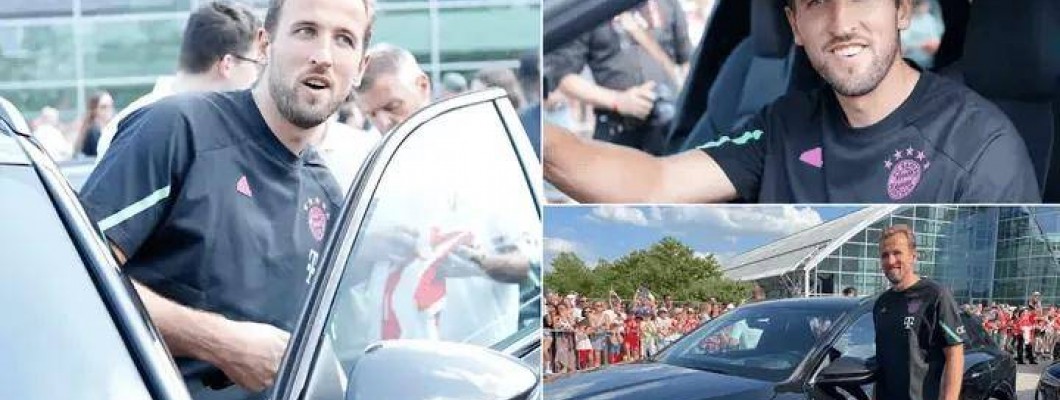 Tolle Neuigkeiten für Fans!