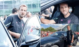 Tolle Neuigkeiten für Fans!